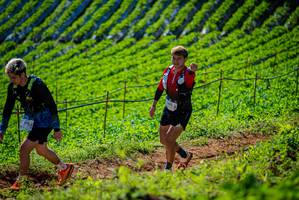 BIB: 
                            <button type="button" onclick="openModal(19162204)" class="btn btn-primary btn-sm float-right btn-popup" data-toggle="modal" data-target=".modal-high-quality">
                        <i class="fas fa-shopping-cart"></i> Add to Cart
                    </button>
                                            <button type="button" onclick="isThisMe(19162204, true)" class="btn btn-success btn-sm float-right btn-popup btn-isme hidden" data-toggle="tooltip" data-placement="bottom" title="นี่คือรูปของคุณใช่ไหม คลิกที่นี่เพื่อเอาเข้าอัลบั้ม">
                        <i class="fas fa-plus"></i> Add to album
                    </button>
                    <button type="button" onclick="isThisMe(19162204, false)" class="btn btn-warning btn-sm float-right btn-popup btn-isnotme hidden">
                        <i class="fas fa-ban"></i> Remove from album
                    </button>